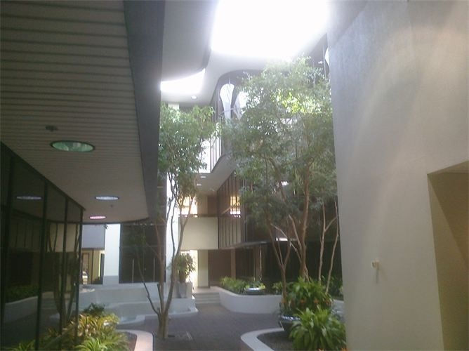 Interior atrium painting project